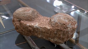 115K views · 2.7K reactions | Corey calls in an expert to verify whether or not this seller brought in a real pair of dinosaur eggs from 60 million years ago. | Pawn Stars on History | Facebook