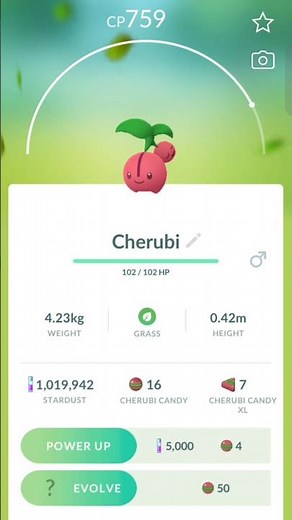 Evolution of Cherubi 🍒| Cherubi to Cherrim Evolution! 🌼✨| #viral #pokemongo #gaming
