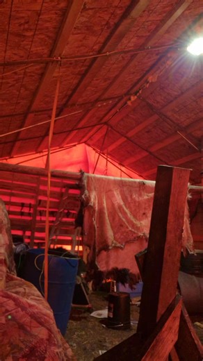 Awesome morning | Reg N Meensa