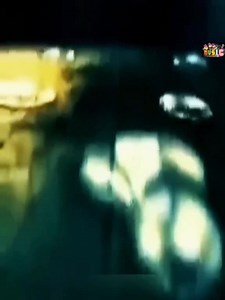 JTL My Lecon | Best Music