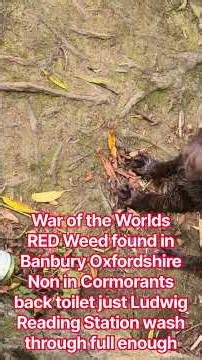 MI5 investigate War of the Worlds RED Weed found in Banbury Oxfordshire Chlorine & Fluoride direct