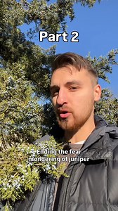 For the record, I’ve posted this video many days after my juniper experience, and I can say that I experienced no ill effects whatsoever. The dangers of using landscaping juniper would come from potential spraying of pesticide/herbicide, etc., not from any inherent potent toxicity of the berries! I really hope you learned something new about juniper in these videos. I hope that I was able to cut through the fear and noise that circulate about it. I’d love if you could share this video to help en