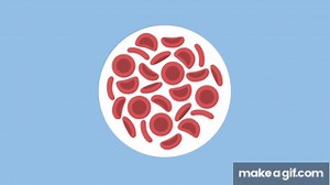 Red Blood Cells | Physiology | Biology | FuseSchool on Make a GIF
