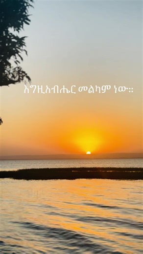 Enat S (@enat.s)’s videos with original sound - Ethio_Classical_musics