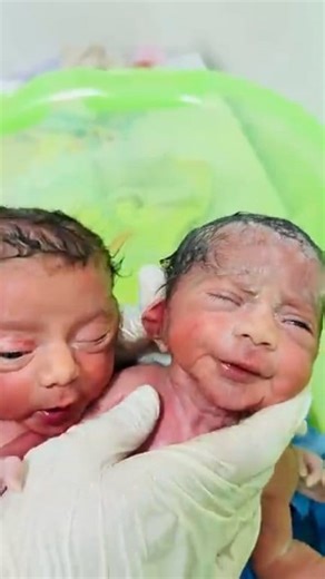 22K views · 349 reactions | Newborn twins baby I want to eat not bath #Newborn #twins | Parmod Gatuam | Facebook