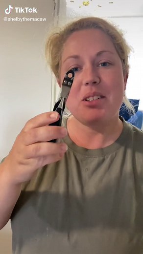 Not recommended without experience or vet guidance first #ElectrifyTheMini #HolidayModeActivated #shelbythemacaw #macawsofinstagram #parrotstiktok #parrotslover