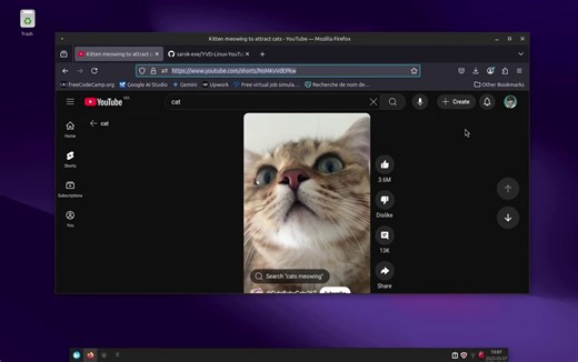 How to download youtube videos on linux?!