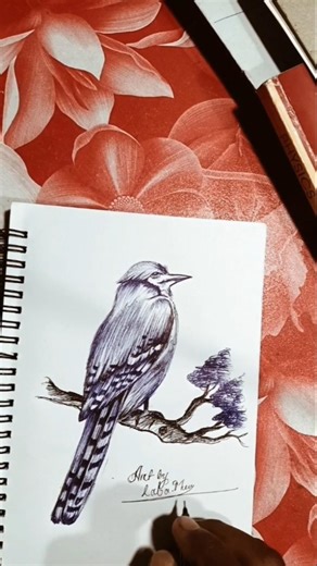 Blue Jay Bird Drawing with pen #drawing #vairal #art #shorts #video