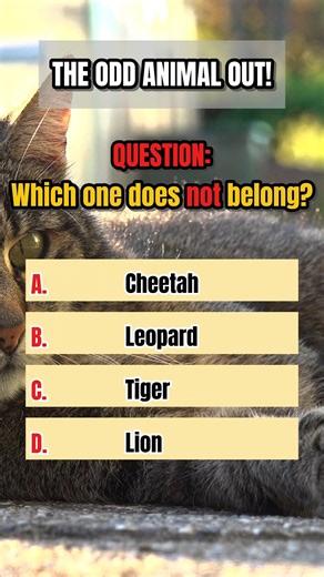 Can You Outsmart This Animal Challenge? 🐾 #AnimalRiddle #GuessTheAnimal #WildlifeQuiz #BrainChallenge #MindTest #TrickyRiddle #AnimalLovers #FunChallenge #QuickQuiz #SmartThinking #MindGames #PuzzleTime #RiddleChallenge #ThinkSmart #FunFacts | Psyvia