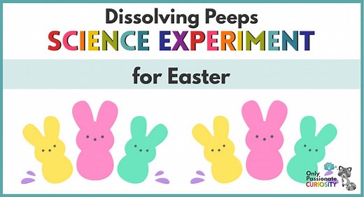 Dissolving Peeps Easter Science Experiment