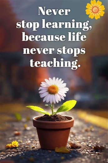 Never Stop Learning | Life Never Stops Teaching | Motivational Quote 🌱✨#LifeLessons #shorts