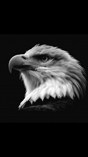 ᯓ★ on Instagram: "According to the reports, 🐢 is still offside !! #messigoat #messigoat #BarcelonaFC #Barcelona #lamimeyamal #cristianoronaldolionelmessi #yamal #pedri #RaphinhaSkills #realmadrid #ElClasico #santiago"