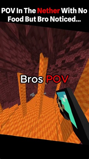 POV In The Nether With No Food But Bro Noticed... #bloxd #bloxdio