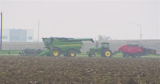 California farmer sends letter to President Trump pleading for help