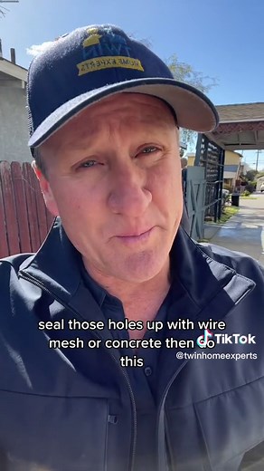 Scratching sounds in your walls at night? This is what you need to do! #rats #pestcontrol #homeowner #productreview