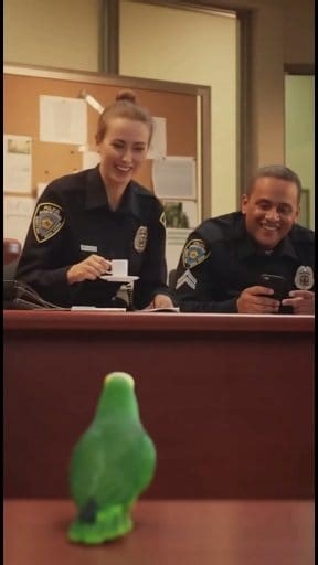 "El pedido de café se volvió loco ☕🦜😂"#fblifestyle #birds #loros #loras #amazonas #funnyparrot #amazonparrot #parrots #funnyanimals | Loros Hermosos