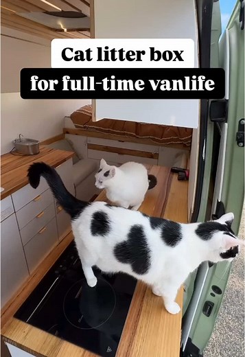 DIY Cat Litter Box for Travel: A Step-by-Step Guide