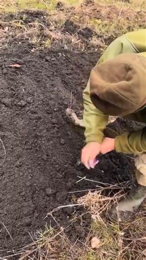 Spring means it's time to plant the garden! 🌱 | In Ukraine
