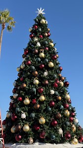 WE ARE ALMOST READY FOR CHRISTMAS! 🎉 Join us every weekend for Christmas celebrations starting this Saturday at 2:30 PM and 4:30 PM Sundays at 8:30 AM, 10:10 AM and 11:50 AM 🎄 | Trinity Church