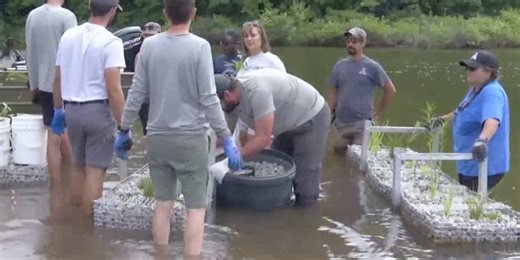 Missouri Department of Conservation & Springfield City Utilities launches new wetland into Fellows Lake
