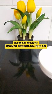 5.5K views · 43 reactions | Kamar mandi wangi berbupan-bulan!! #tips #tipsperdapuran #cooking #homecooking #kamarmandiwangi | Marsya Sya | Facebook