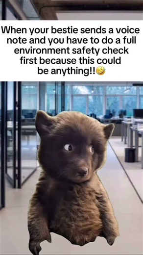 #trending #viral #memes #funny