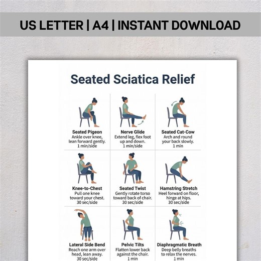 Sciatica Relief Chair Routine, Seated Stretching Chart PDF, Gentle Nerve Pain Exercises, Low Impact Seated Workout, Instant Download - Etsy