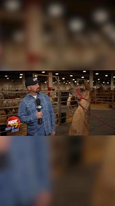 Had a GREAT 2025 on Hot 20 @CMT 🔥📺❤️ | CMT Cody Alan