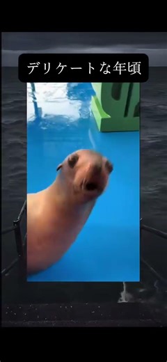 デリケートな年頃