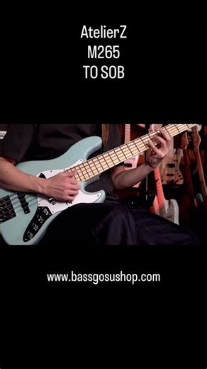 AtelierZ M265 5-string bass guitar