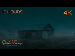 Strong Howling Wind Sounds for Sleeping | 10 HOURS | Relax & Study with soothing winds | Destress