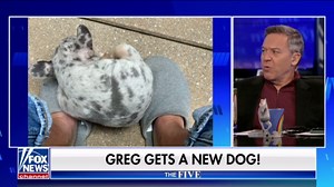 Greg Gutfeld welcomes adorable pup