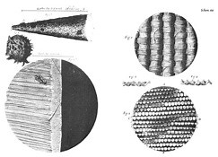 History of miniature writing