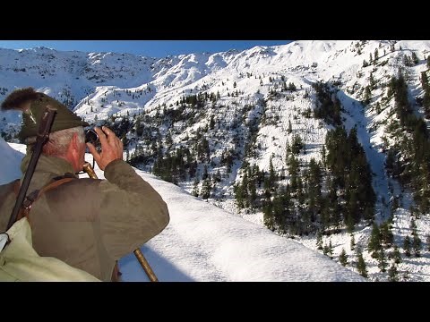 Austria Chamois Hunt Gams Jagd Chamois Hunting Austria Hunting Austrian Alps