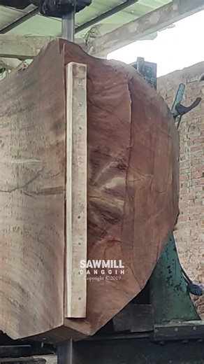 Heavy Machinery vs Exotic Investment Log #monkeypod #wood #sawblade