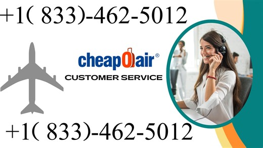 How to Contact Cheapoair™ Customer Service:| Complete Assistance Guide Live Help Support