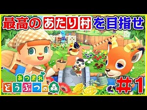 可愛い住人だけの島を目指す無人島新生活【あつまれ どうぶつの森】#1