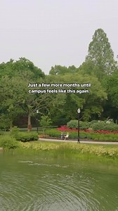 24K views · 343 reactions | Can't wait for another Buckeye summer! 朗 | The Ohio State University | Facebook