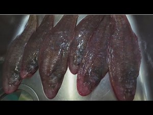 boiled fish ~From filleting fish to boiling~