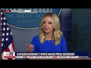 Kayleigh McEnany Snaps At Reporters For Repeated Questioning Of President Trump