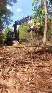 Old School Harvester Slice N Dice 🌲 #fellingtrees #logger #LOGGERMACK #oddlysatisfying | Logger Mack