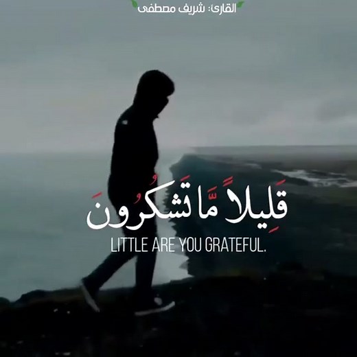 Recitation of Surah by Sheikh Sherif Mostafa - Islamic Quranic Verses