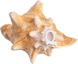 Nautical Crush Trading Conch Shell Decor - Seashell Decor - 6-8" Large Conch Shell Horn - Shells for Decoration - Large Seashells - Blowing Horn - Magic Conch Shell Room Décor