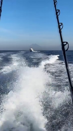 Fishing in Guatemala with a Perfect View of the Volcanos!! This Is My Guatelinda @pacificfins @billfishconservationproject @inguatoficial @goliathfishing @albertofguzman #fishingfins #fishing #guatemala #fishingguatemala #sailfish #marlin #amazing #fishingtrip #fypage | Fishingfins