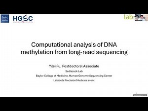 Computational analysis of DNA methylation from long-read sequencing