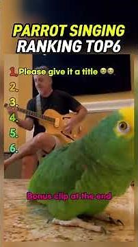 RANKING TOP 6 PARROT SINGING MOMENTS 🦜