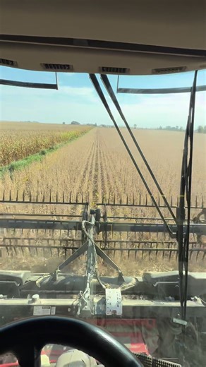 Ag Leader Technology SteerCommand Z2 and InCommand Go16 making easy work of harvest! | VonEhwegen Precision Systems, Inc