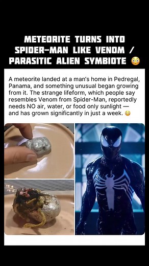 Alien Symbiote Discovery in Panama: Venom Comparisons
