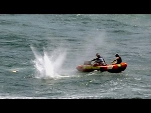 Enorme tiburón mata a un hombre en Nueva Zelanda