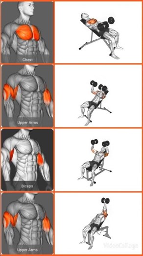 Ultimate Incline Dumbbell Chest Workout | Fly, Press & Twist Variations